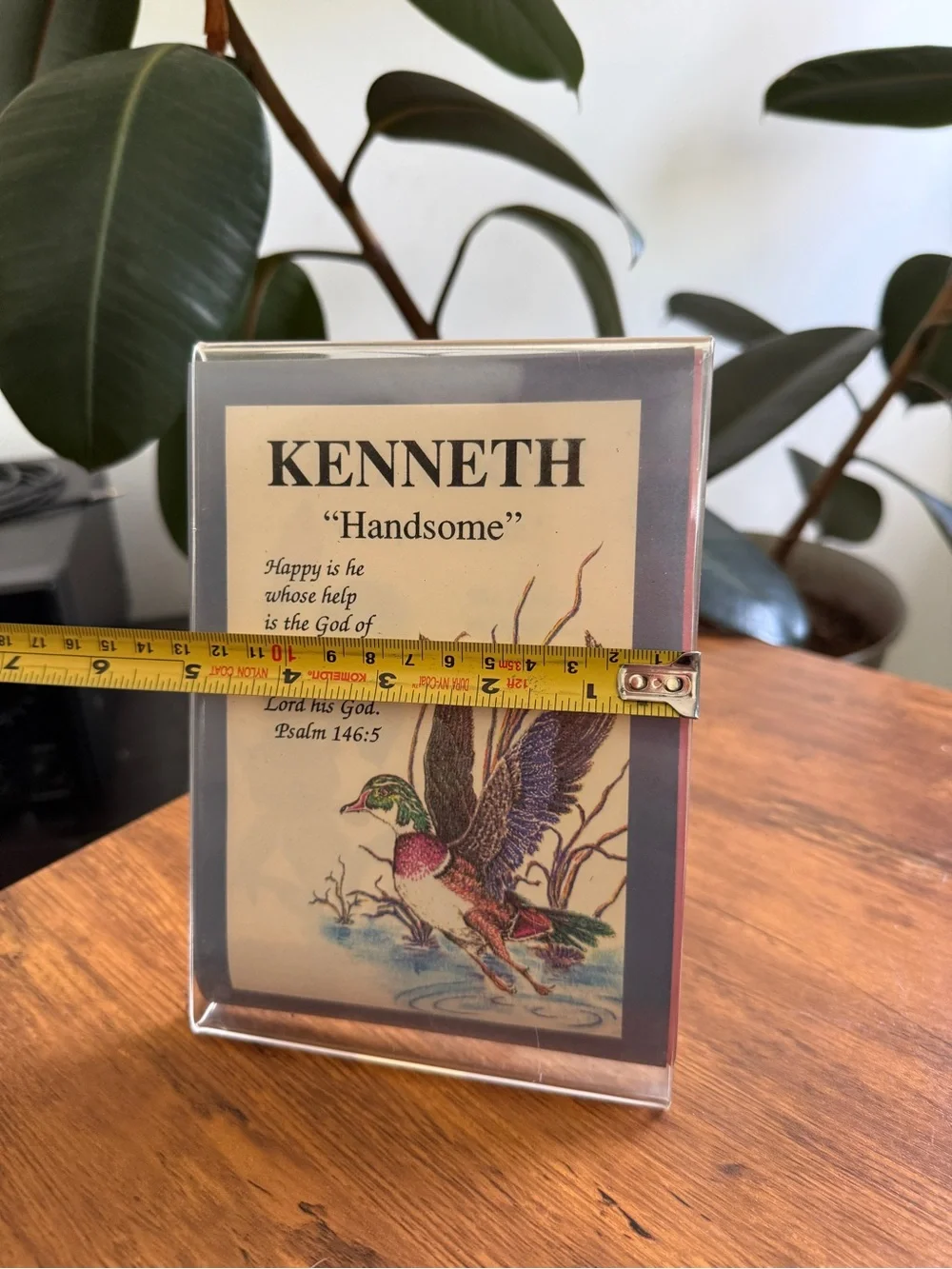 KENNETH ‘Handsome' Framed Duck Print - Multicolor